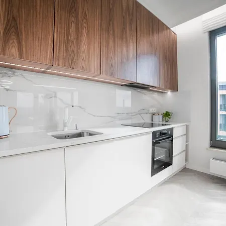 公寓 Amber Centrum Lux 格但斯克